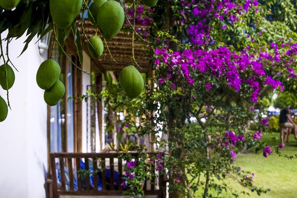 La Em Casa - Guest House Barra Grande  Exterior foto
